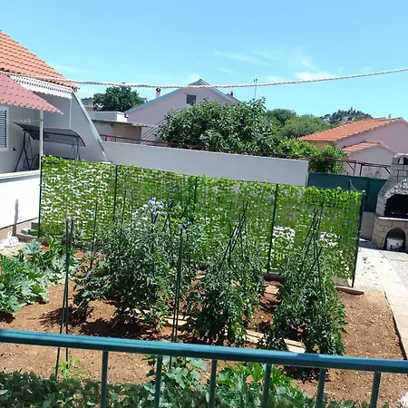 Kuca Zdenka Daire Tribalj